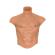 Hidden Desire - Alter Ego Silicone Masculino Tronco Camisa Com Carne Abs