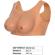 Hidden Desire - Alter Ego Noszony Breast Top E-Cup Flesh