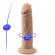 Silexd - Realistic Penis Model 2 Thermoreactive Silicone 15.4 CM
