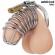 Addicted Toys Locked - Klatka Na Penisa Metalowa Iron Cell Rozmiar M