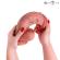 Mr Intense - Dildo In Silicone Spencer Con Pene Grande 25,5 CM -Ø- 6,2 CM