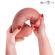 Mr Intense - Dildo In Silicone Extrabig Spencer 28 CM -Ø- 7,3 CM