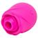 Romp - Rose Vormig Clitoriale Zuigtool