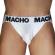Macho - MX29BL Jock White + White S