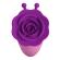 Pretty Love - Stimolatore Clitorideo Ricaricabile Little Bee, 7 ModalitÀ, Viola-Rosa
