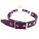 Rouge indumenti O Ring Gag Viola